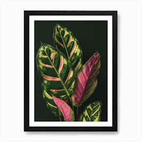 Tropical Leaves 173 Art Print