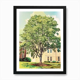 Pecan Tree Storybook Illustration 2 Art Print