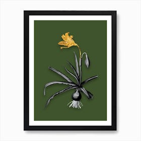 Vintage Amaryllis Broussonetii Black and White Gold Leaf Floral Art on Olive Green n.1147 Art Print