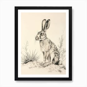 Satin Rabbit Drawing 4 Art Print