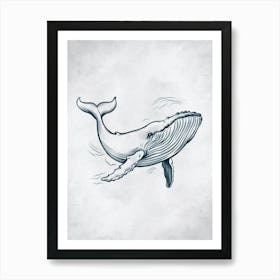 Humpback Whale Art Print