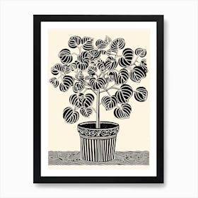 B&W Plant Illustration Rubber Plant Tineke Art Print