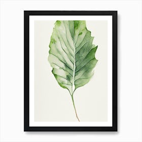 Wild Lettuce Leaf Minimalist Watercolour 4 Art Print