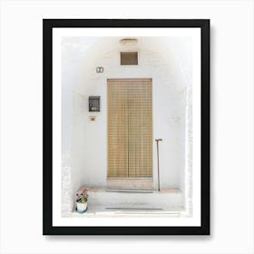 Door To A White House Art Print