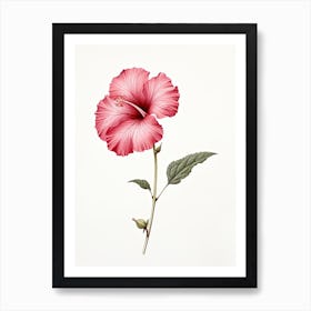 Hibiscus Flower Vintage Botanical 0 Art Print