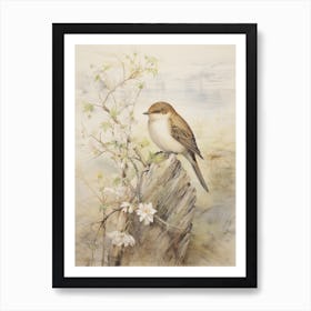 Vintage Bird Drawing Dipper 3 Art Print