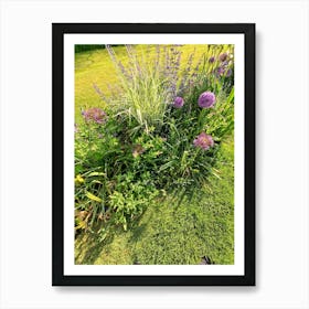 Garden With Purple Flowers Art Print