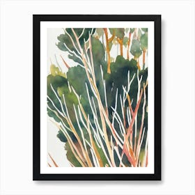 Acropora Aculeus Vintage Graphic Watercolour Art Print