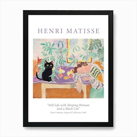 Henri Matisse Sleeping Woman With Cat Museum Poster Painting Art Print