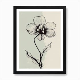 Line Art Orchids Flowers Illustration Neutral 1 Art Print