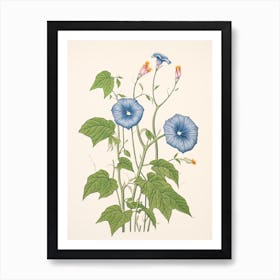 Asagao Morning Glory 2 Vintage Japanese Botanical Art Print