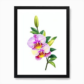 Orchids Watercolour Flower Art Print