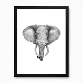 Elephant Art Print