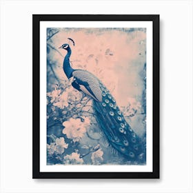 Peacock In The Meadow Cyanotype Inspired 3 Art Print