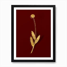 Vintage Victory Onion Botanical in Gold on Red n.0552 Art Print