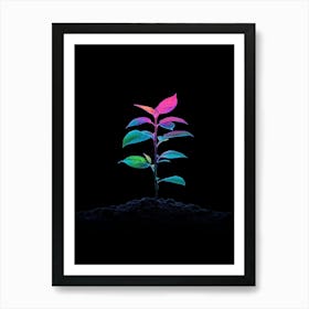 Rainbow Plant 4 Art Print