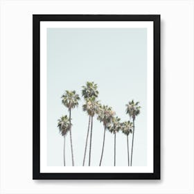 Palm Trees II  Art Print