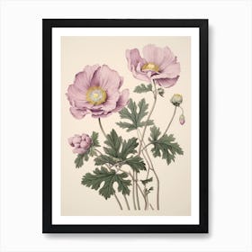 Hanaichige Japanese Anemone 2 Vintage Japanese Botanical Art Print