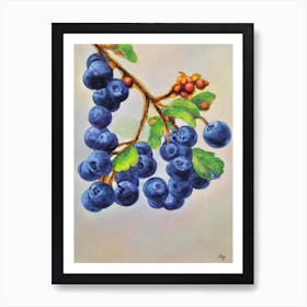 Huckleberry Vintage Sketch Fruit Art Print