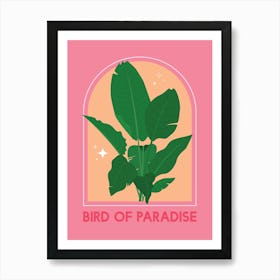 Bird Of Paradise Art Print