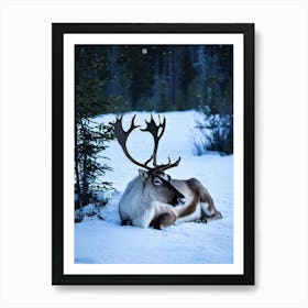 Reindeer Art Print