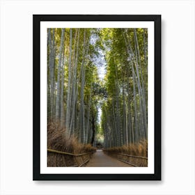 Mighty Arashiyama Bamboo Forest In Kyoto Art Print