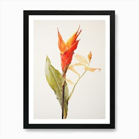 Pressed Flower Botanical Art Heliconia 3 Art Print