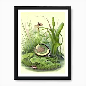 Garden Snail In Wetlands 1 Botanical Art Print