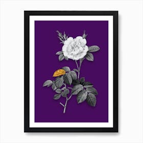 Vintage White Rose Black and White Gold Leaf Floral Art on Deep Violet n.0636 Art Print