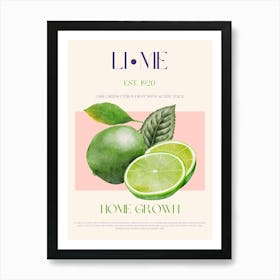 Lime Fruit Mid Century Art Print