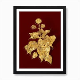 Vintage Common Ivy Botanical in Gold on Red n.0163 Art Print
