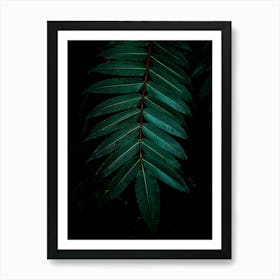 Tropical Leaf Art Print