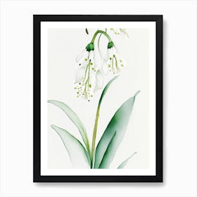 Lily Of The Valley Herb Minimalist Watercolour 3 Art Print