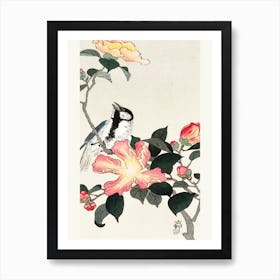 Great Tit On Branch With Pink Flowers (1900 1930), Ohara Koson Art Print