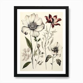 Flowers In Black And White 1 Art Print