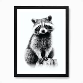 Raccoon Black And White Illustration 3 Art Print