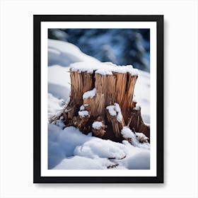 Tree Stump In Winter Art Print