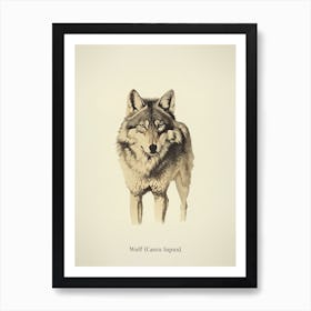Vintage Wolf Poster Art Print