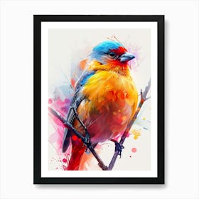 Colorful Bird 6 Art Print