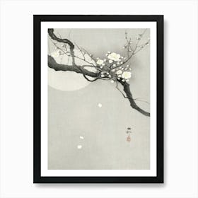 Plum Blossom And Full Moon (1900 1936), Ohara Koson Art Print