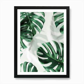 Tropical Leaves On A White Background Art Print