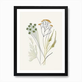 Caraway Spices And Herbs Minimal Line Drawing 2 Art Print