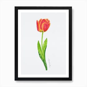 Tulip5 Art Print