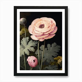 Flower Illustration Ranunculus 1 Art Print