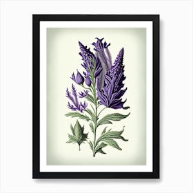 Lavender Leaf Vintage Botanical 2 Art Print