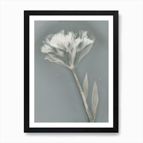 Ethereal II Art Print