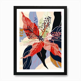 Colourful Flower Illustration Poinsettia 2 Art Print