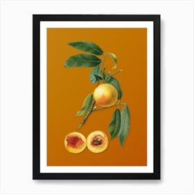 Vintage Peach Botanical on Sunset Orange n.0056 Art Print