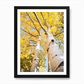 Aspen Tree Yellow Leaves Art Print