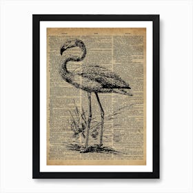 Flamingo Bird Art Print